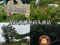 -冯姐生蚝(长隆横琴店)