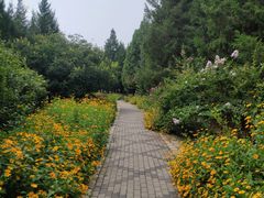 -东升八家郊野公园