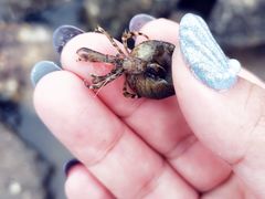 -东戴河风景区-止锚湾