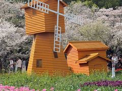 -苏州上方山国家森林公园