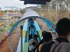 -盈香心动乐园