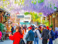 -婺源梦里老家大型山水实景演出