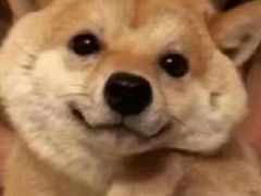 -古乐牛香·鲜牛肉牛杂火锅(新区店)