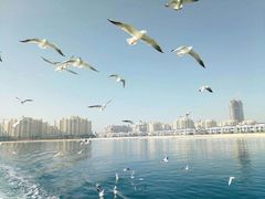 -迪拜帆船酒店海底餐厅