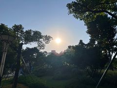 -文华公园(禅城区)