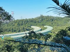 -深圳仙湖植物园