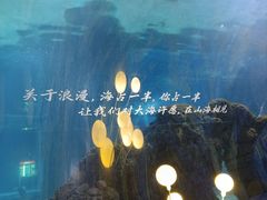 -重庆欢乐海底世界