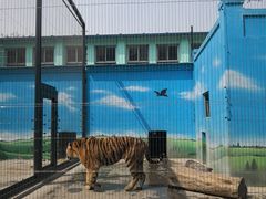 -保定市动物园