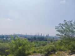 -白水寺森林公园