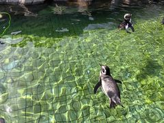 -上海野生动物园
