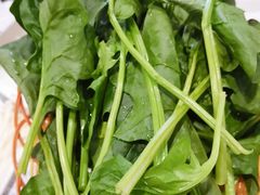 菠菜-重庆巴渝火锅(钟家村店)
