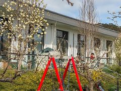 -丽泽山庄·生态怀柔菜·虹鳟鱼(红螺寺店)