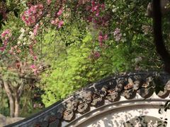 -深圳国际园林花卉博览园