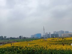 -三圣花乡旅游区