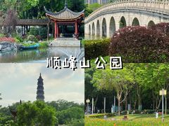 -顺峰山公园