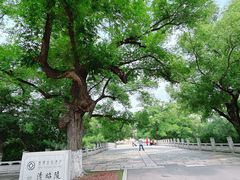 -北陵公园