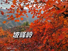 -周口店坡峰岭风景区