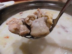 热煲猪肚鸡-好彩猪肚鸡(正弘城店)