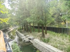 -白水寺森林公园