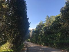-昆明春城湖畔度假村