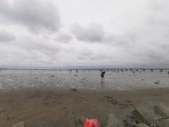 -南汇嘴观海公园