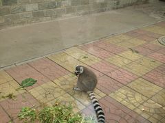 -石家庄市动物园