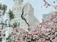 -静安雕塑公园
