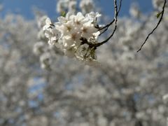 -苏州上方山国家森林公园