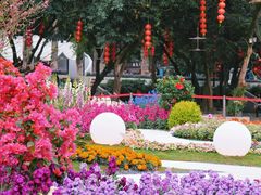 -广州市白云山风景名胜区