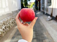 -柳沟豆腐宴64号院