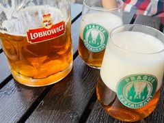 -布拉格餐厅· 中欧捷克菜(全国首店)