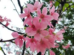 -广州市白云山风景名胜区
