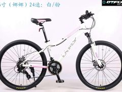 -道路口单车爱瓦士dahon大行