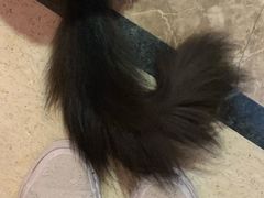 -猫色咖啡·猫咖