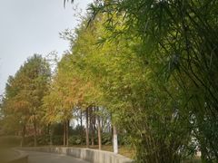 -尚贤河湿地