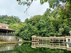 -云南屏边大围山国家公园