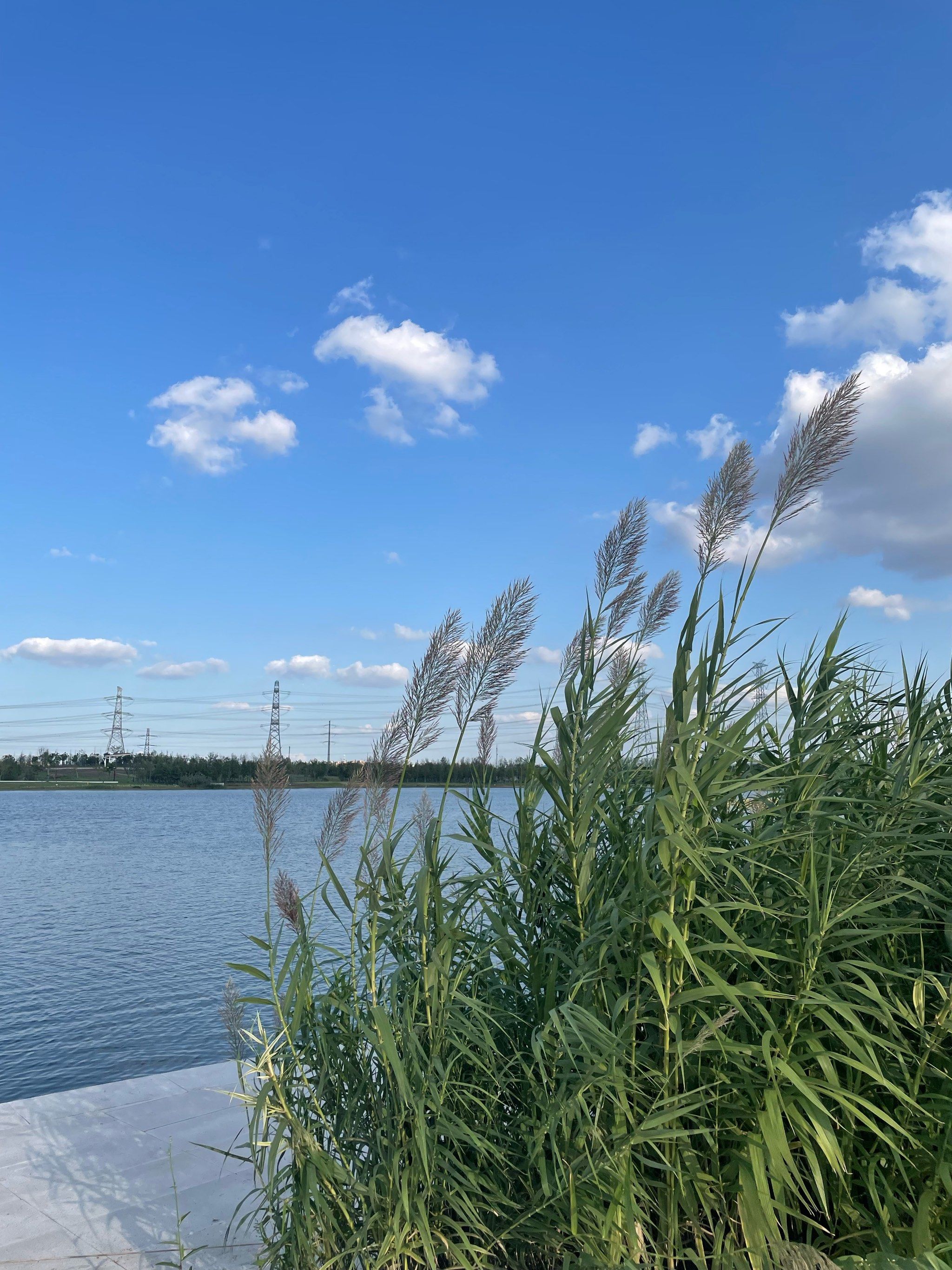 碧云绿地•云天湖公园