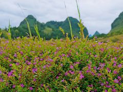 -靖西鹅泉风景区