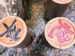 -花岩国家森林公园