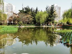 -木塔寺遗址生态公园