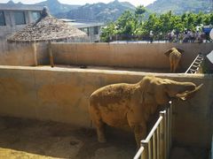 -西霞口神雕山野生动物世界