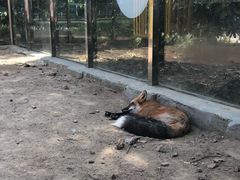 -无锡动物园·太湖欢乐园