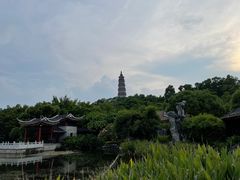 -顺峰山公园