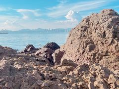 -广东惠东海龟国家级自然保护区