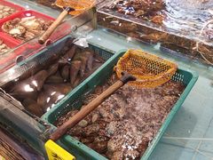 -九號渔港·蒸汽海鲜·粤菜茶点(八卦岭店)