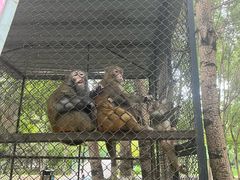 -长白岛森林公园