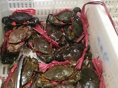 -盒马渔市(平高企业集团·平高广场店)