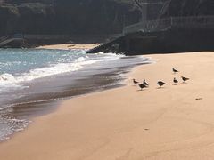 -大王村沙滩