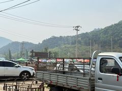 -示范集贸市场