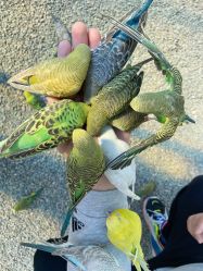 -萌宠亲子动物乐园(槐房万达店)